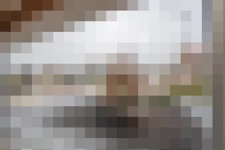 Greffelingsestraat 14 Alphen thumbnail 10