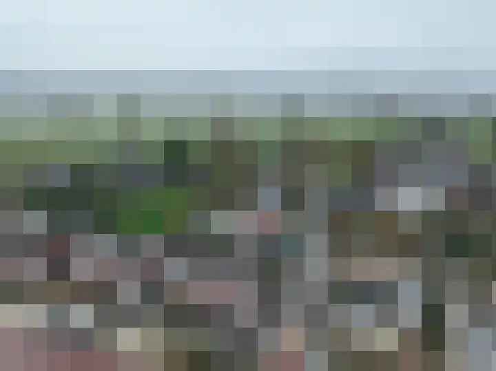 Greffelingsestraat 14 Alphen thumbnail 4