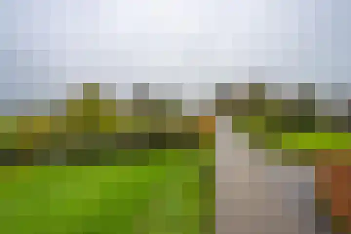 Greffelingsestraat 14 Alphen thumbnail 55