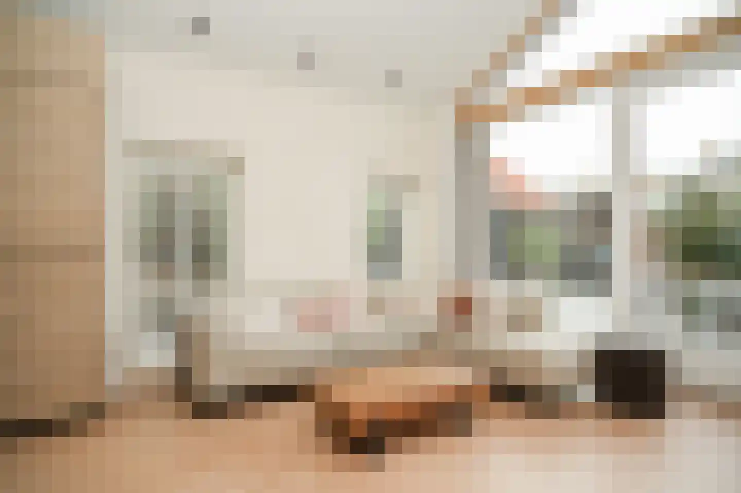 Greffelingsestraat 21 Alphen thumbnail 19