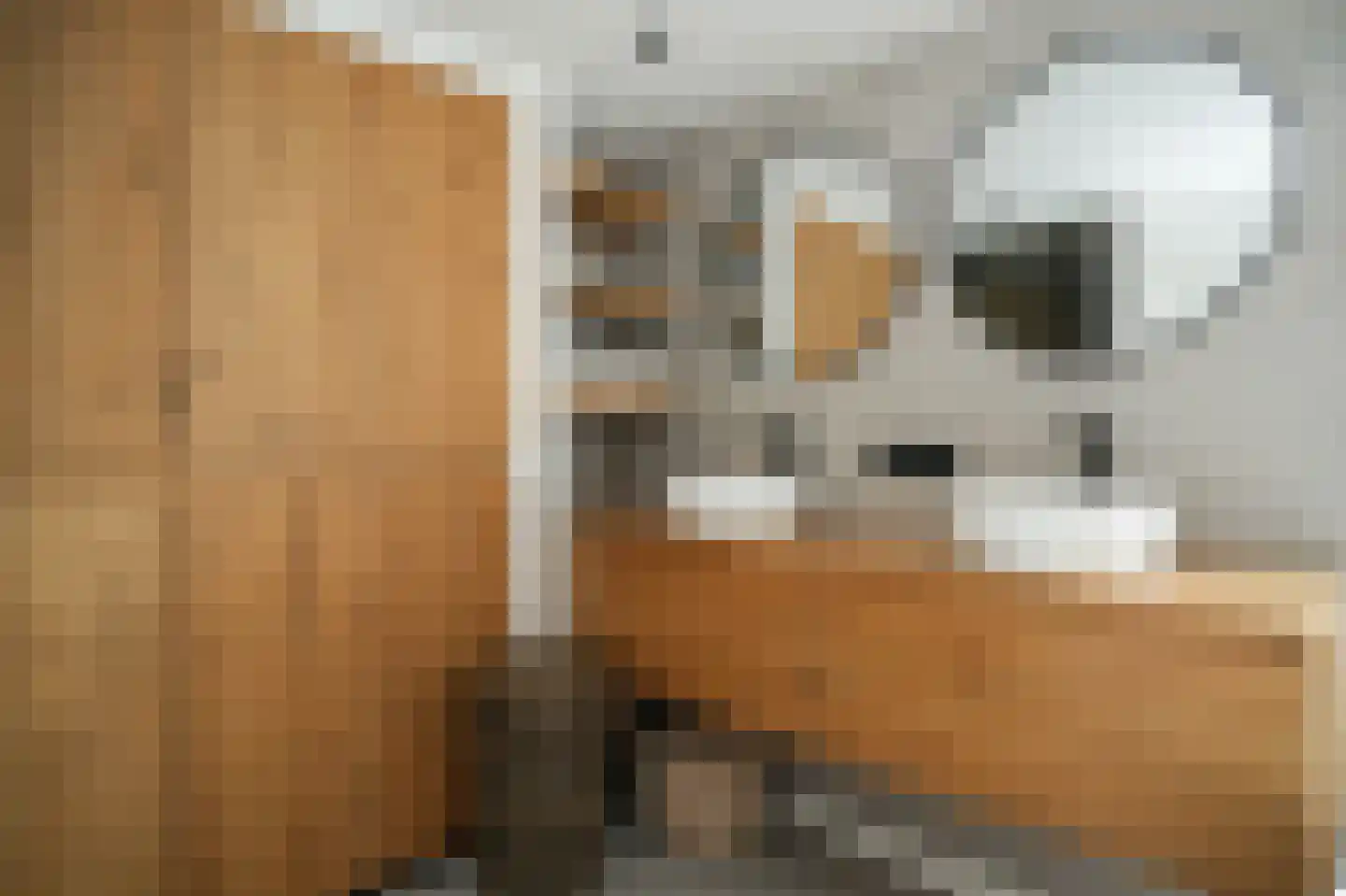 Greffelingsestraat 21 Alphen thumbnail 27