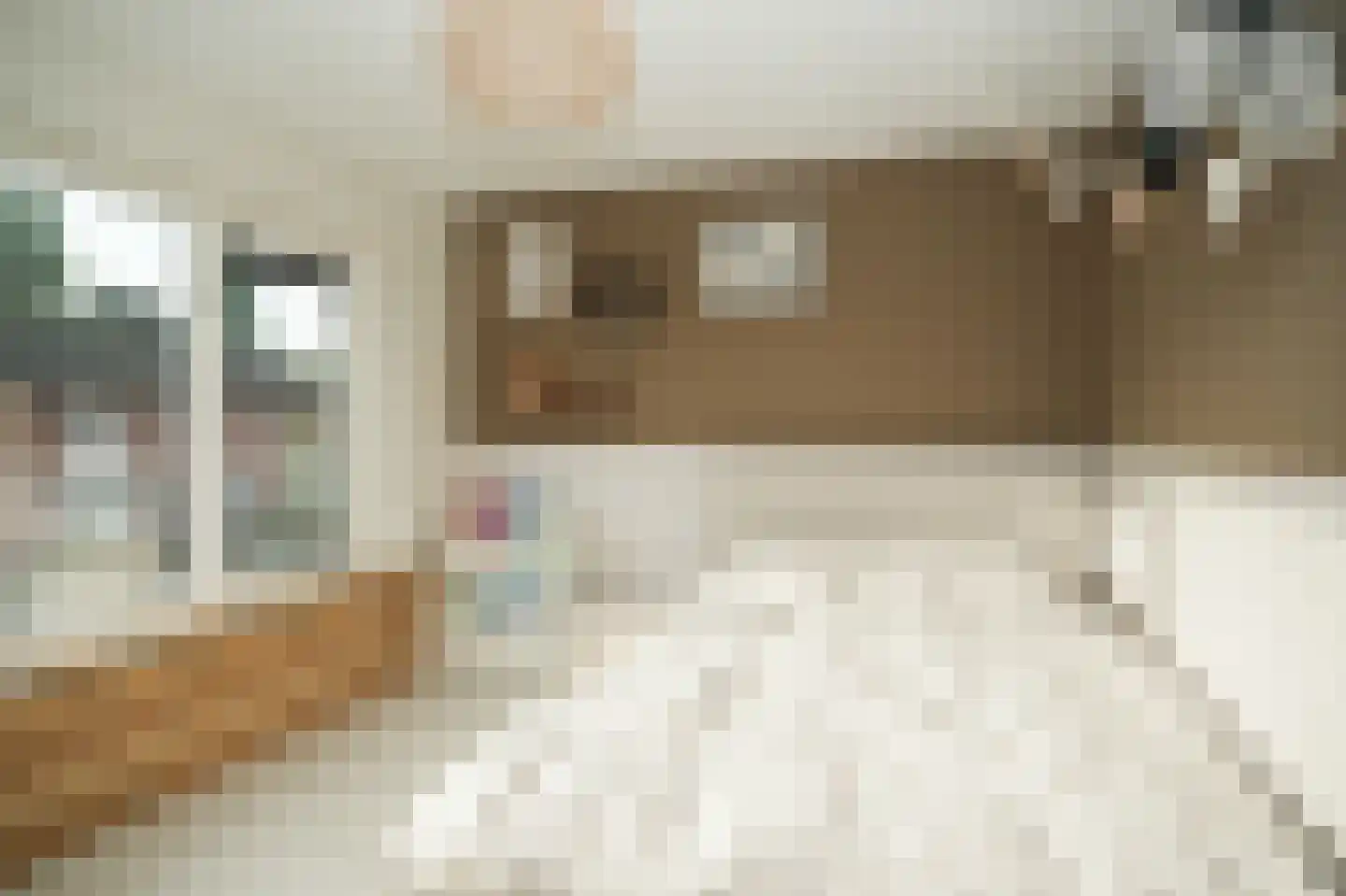 Greffelingsestraat 21 Alphen thumbnail 32