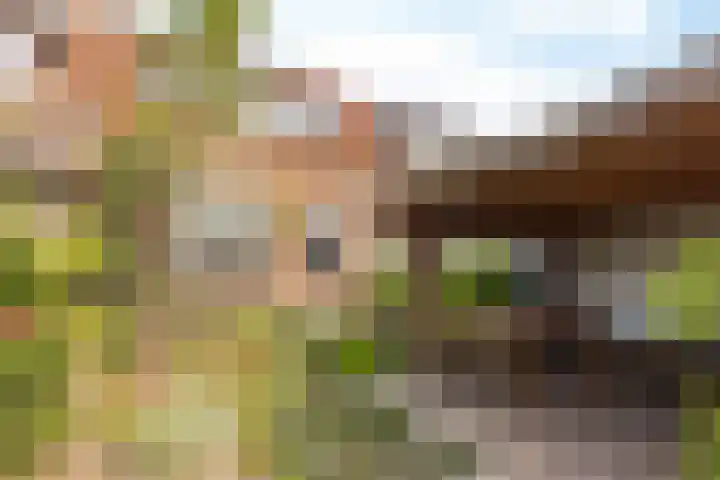 Grefkenstraat 20 Brunssum thumbnail 27