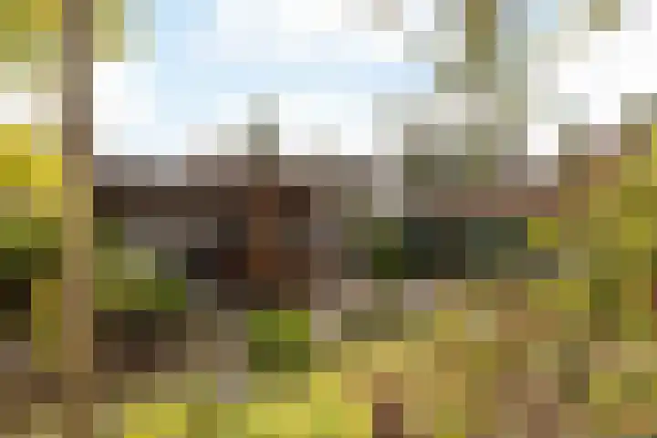 Grefkenstraat 20 Brunssum thumbnail 30