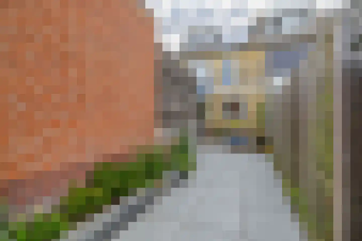 Gregorius Coolstraat 19 Gouda thumbnail 18