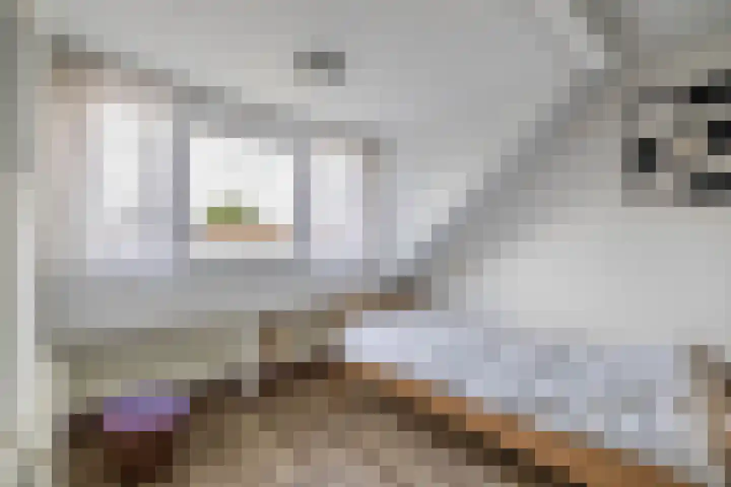 Gregorius Coolstraat 19 Gouda thumbnail 31