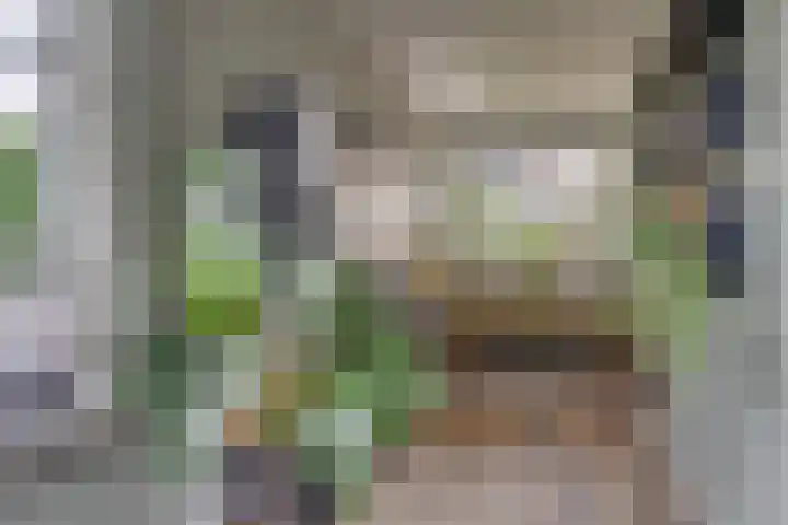 Gregoriuslaan 13 G Lexmond thumbnail 10