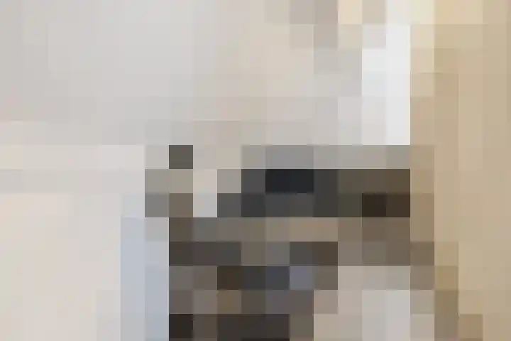 Gregoriuslaan 13 G Lexmond thumbnail 37