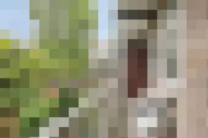 Gregoriuslaan 13 G Lexmond thumbnail 38