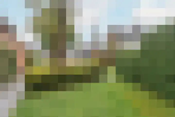 Gregoriuslaan 13 G Lexmond thumbnail 42