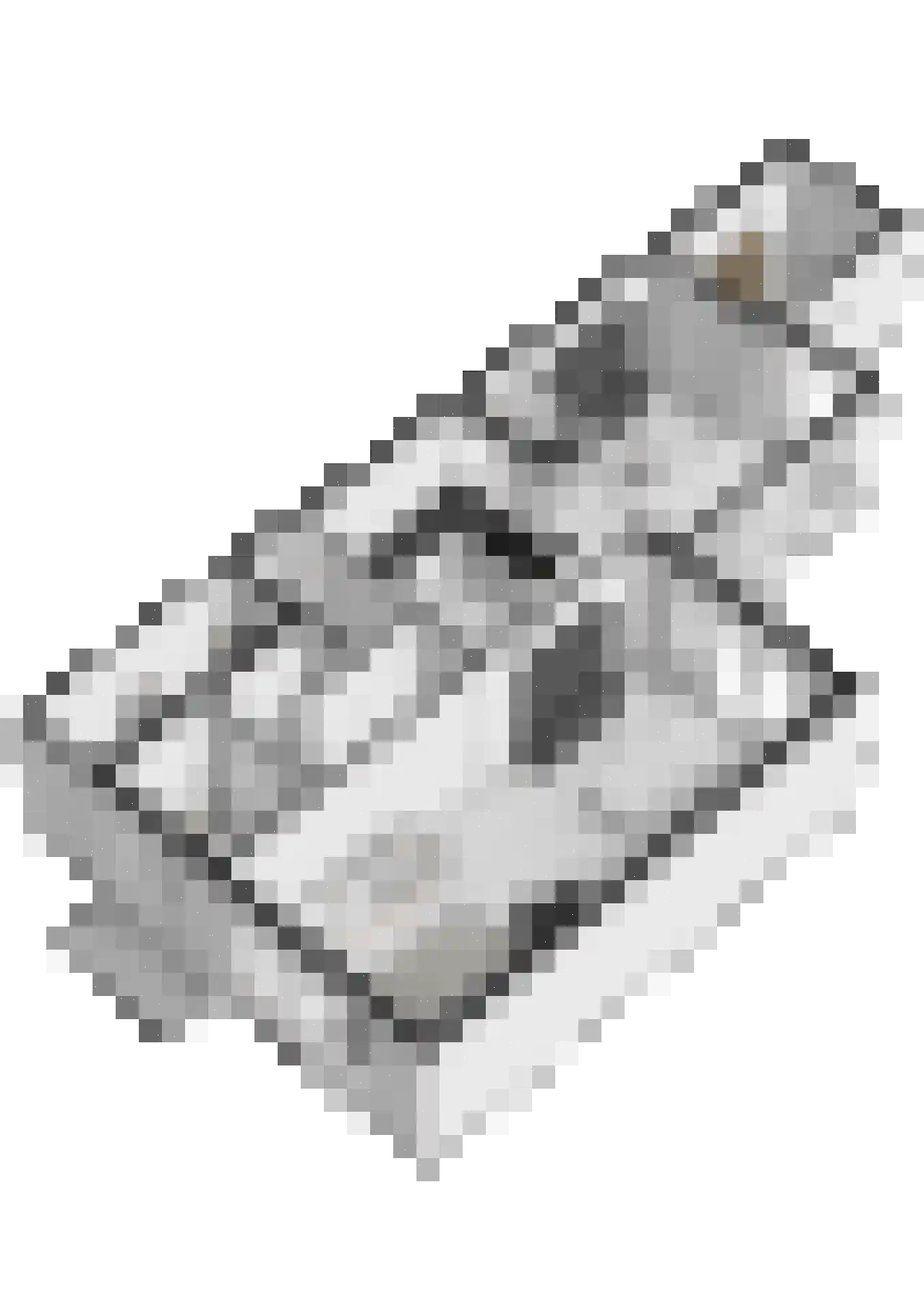 Gregoriuslaan 14 Bilthoven thumbnail 46