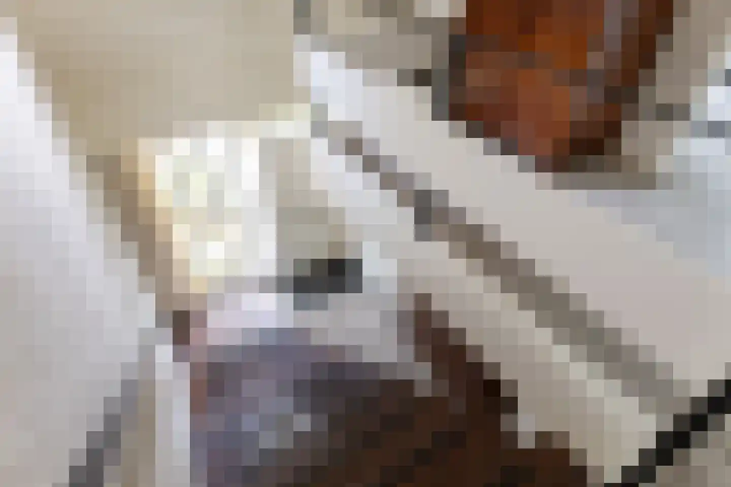 Gregoriuslaan 2 Bilthoven thumbnail 31