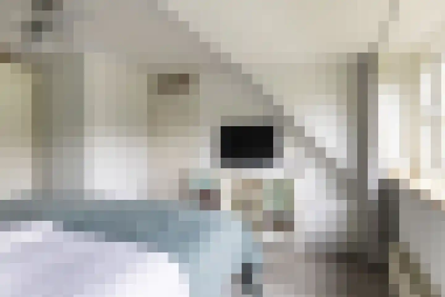 Gregoriuslaan 2 Bilthoven thumbnail 35