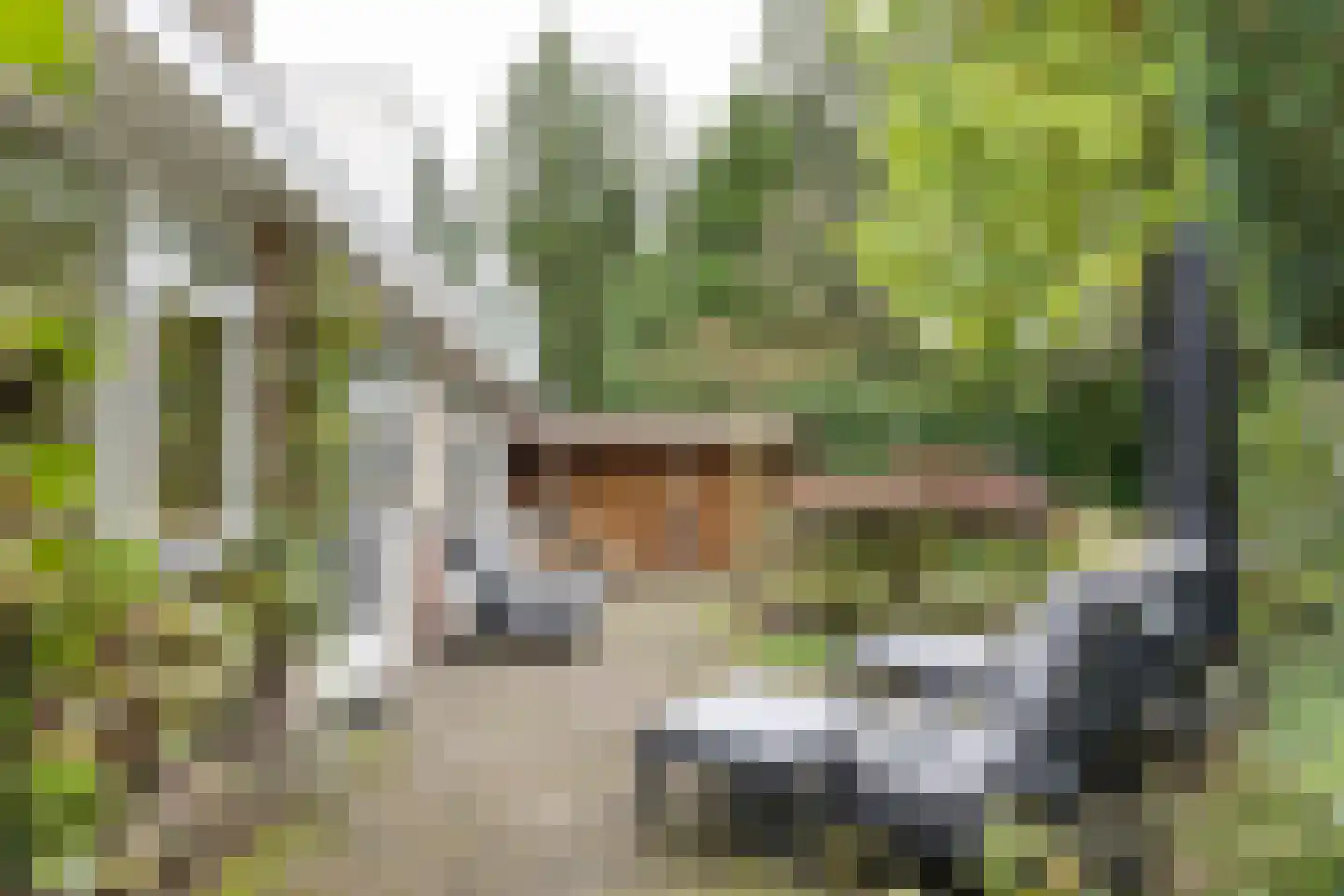 Gregoriuslaan 2 Bilthoven thumbnail 43
