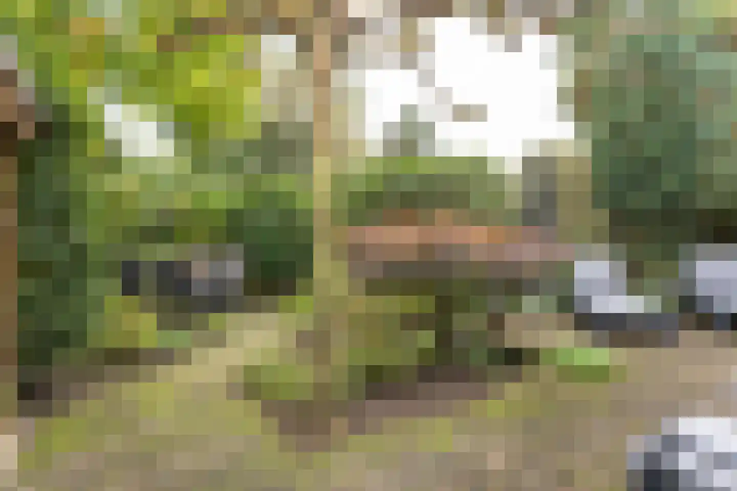 Gregoriuslaan 2 Bilthoven thumbnail 46
