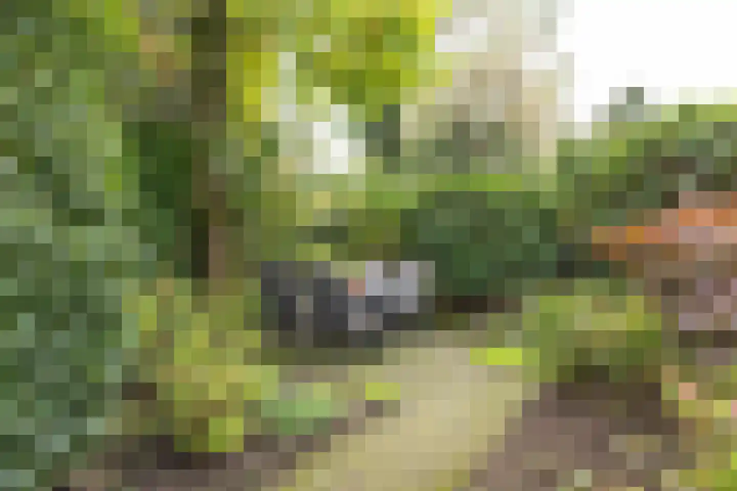 Gregoriuslaan 2 Bilthoven thumbnail 47