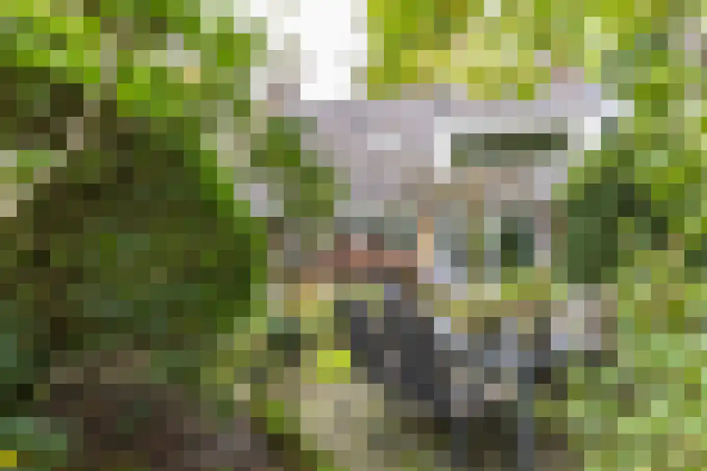Gregoriuslaan 2 Bilthoven thumbnail 48