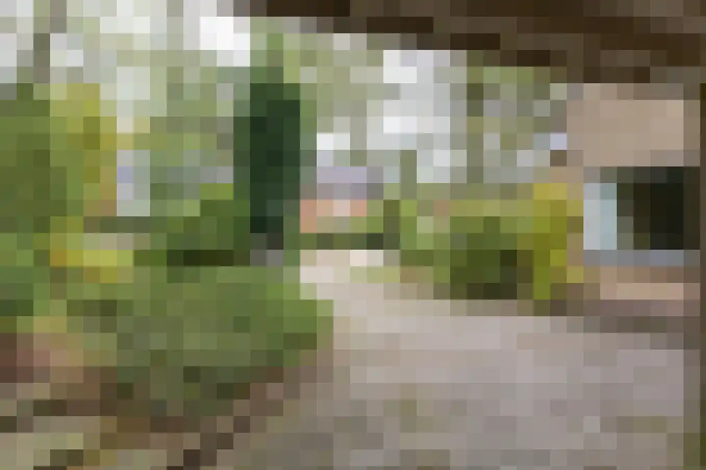 Gregoriuslaan 2 Bilthoven thumbnail 5