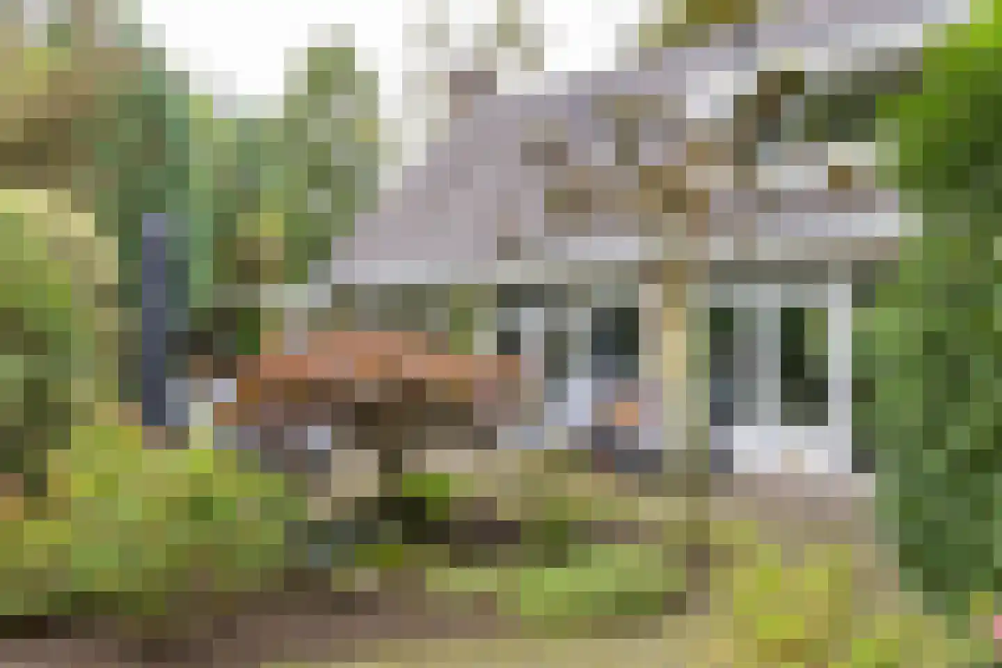 Gregoriuslaan 2 Bilthoven thumbnail 50
