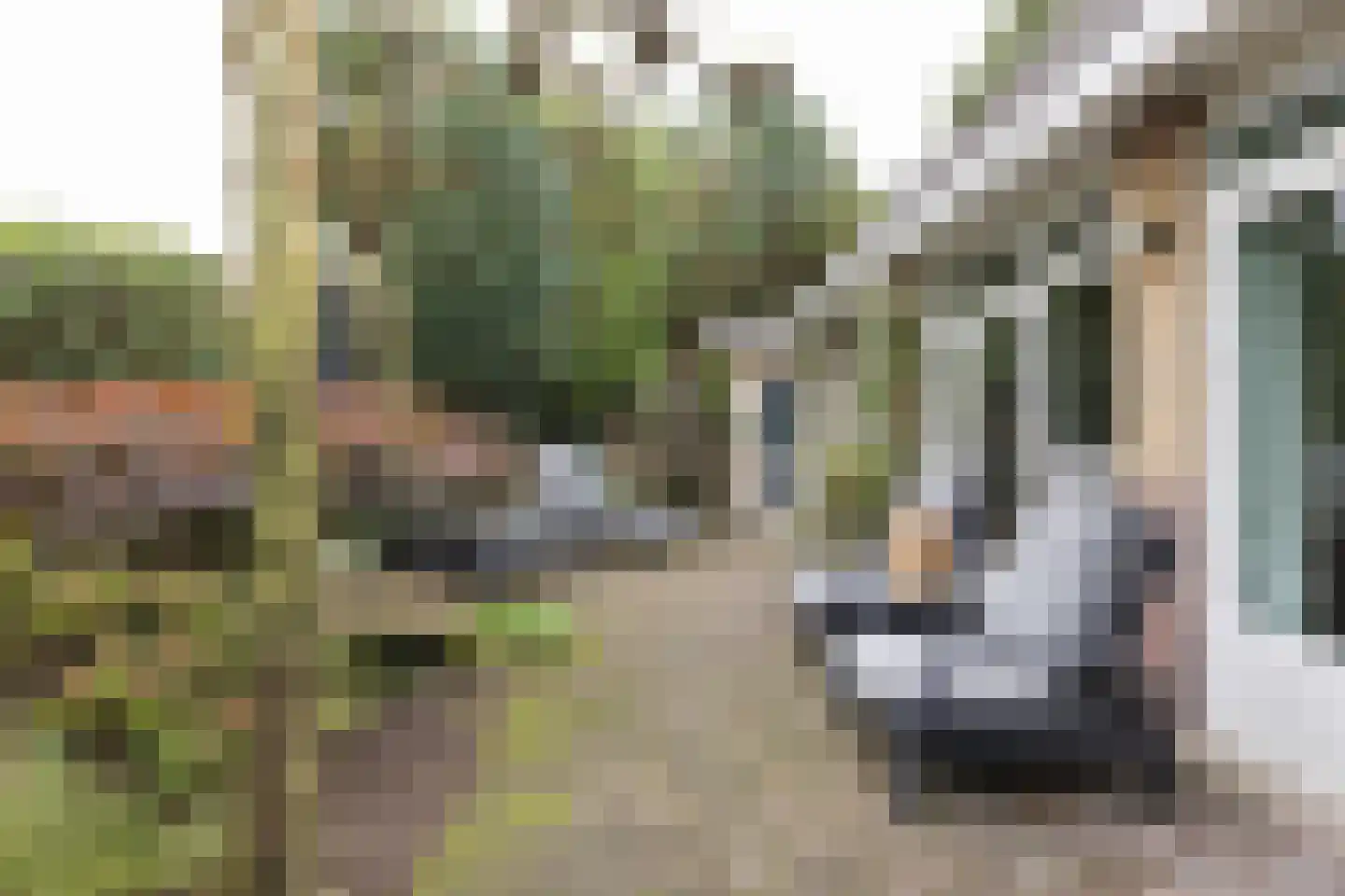 Gregoriuslaan 2 Bilthoven thumbnail 52