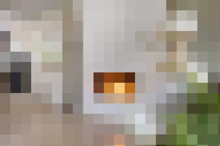 Gregoriuslaan 26 Bilthoven thumbnail 16