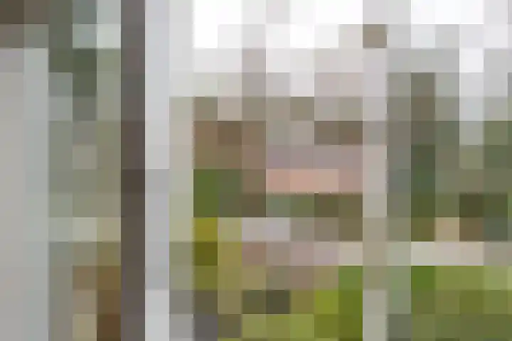 Gregoriuslaan 26 Bilthoven thumbnail 22