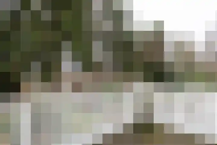 Gregoriuslaan 26 Bilthoven thumbnail 25