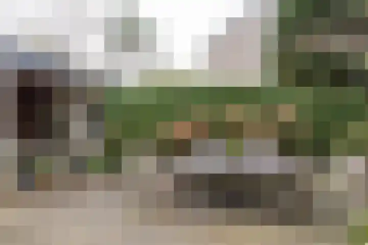 Gregoriuslaan 26 Bilthoven thumbnail 33
