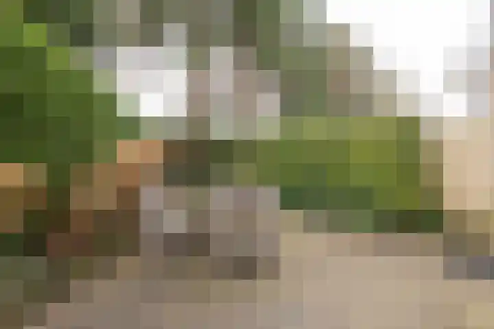 Gregoriuslaan 26 Bilthoven thumbnail 34