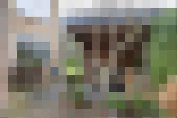 Gregoriuslaan 26 Bilthoven thumbnail 36