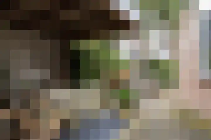 Gregoriuslaan 26 Bilthoven thumbnail 37