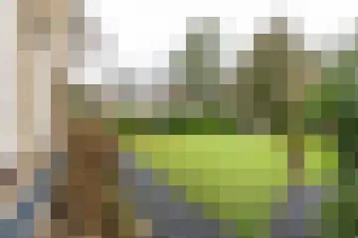 Gregoriuslaan 26 Bilthoven thumbnail 38