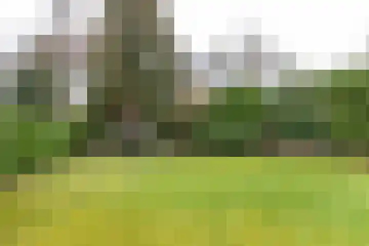 Gregoriuslaan 26 Bilthoven thumbnail 40