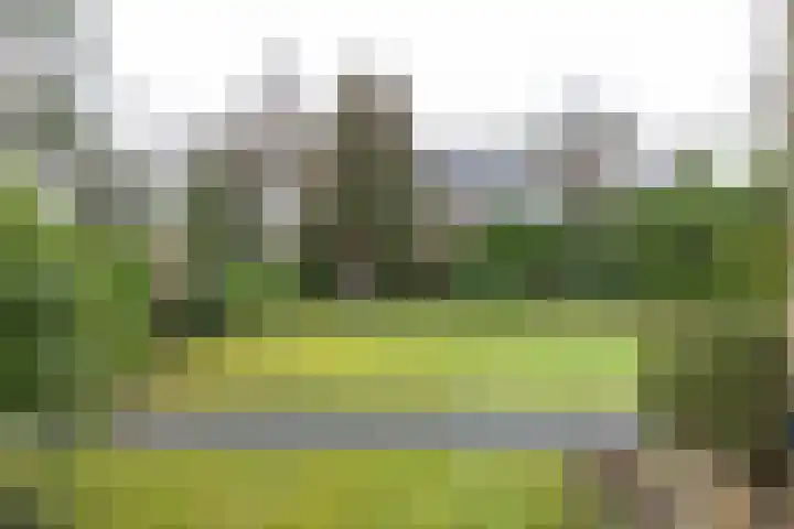 Gregoriuslaan 26 Bilthoven thumbnail 45