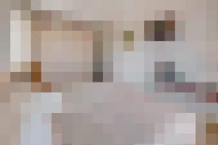 Gregoriuslaan 49 Susteren thumbnail 22