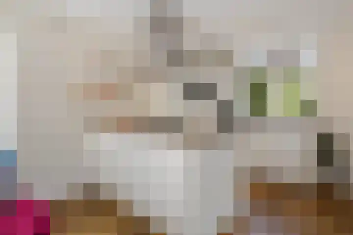 Gregoriuslaan 49 Susteren thumbnail 23