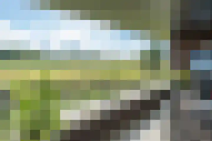 Gregoriuslaan 49 Susteren thumbnail 27