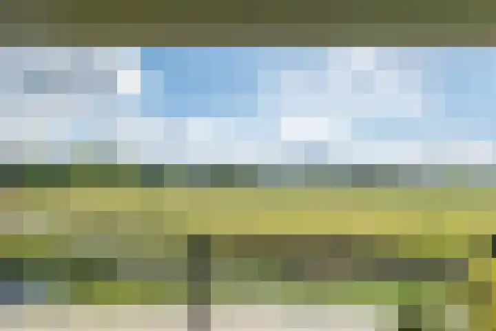 Gregoriuslaan 49 Susteren thumbnail 28