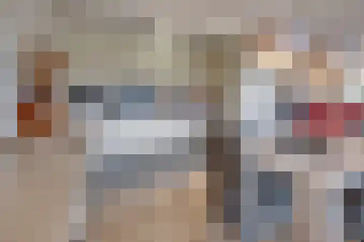 Gregoriuslaan 49 Susteren foto 3