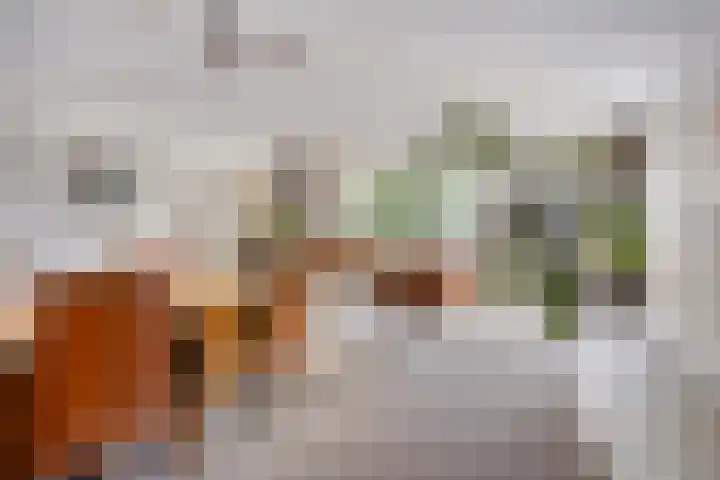 Gregoriussingel 42 's-Hertogenbosch thumbnail 14