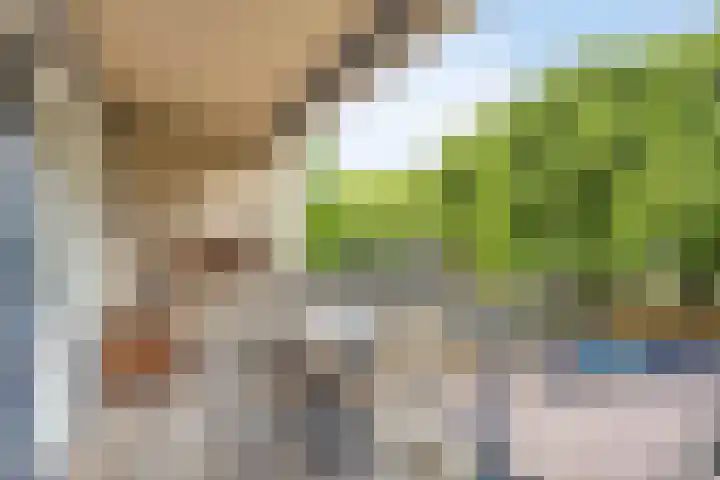 Gregoriussingel 42 's-Hertogenbosch thumbnail 16