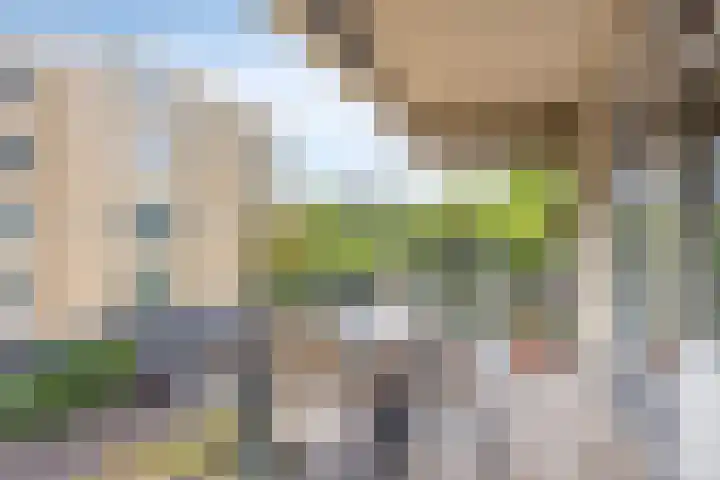 Gregoriussingel 42 's-Hertogenbosch thumbnail 17