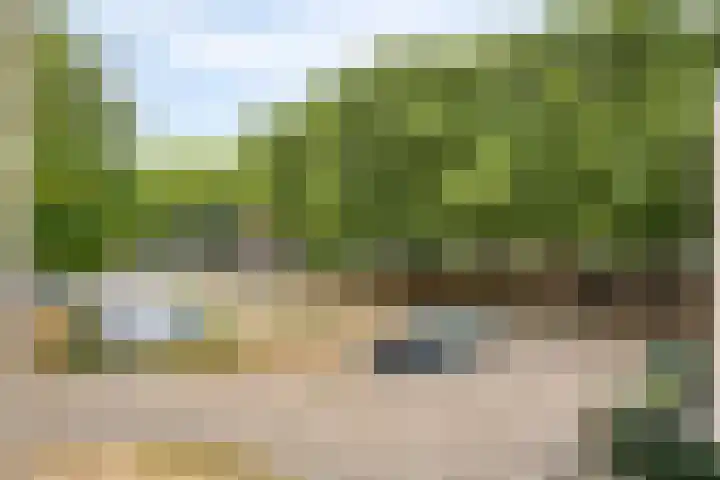 Gregoriussingel 42 's-Hertogenbosch thumbnail 18