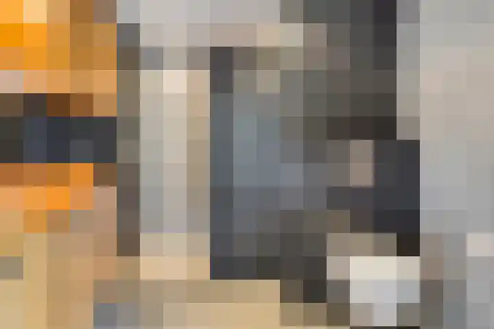 Gregoriussingel 42 's-Hertogenbosch thumbnail 29