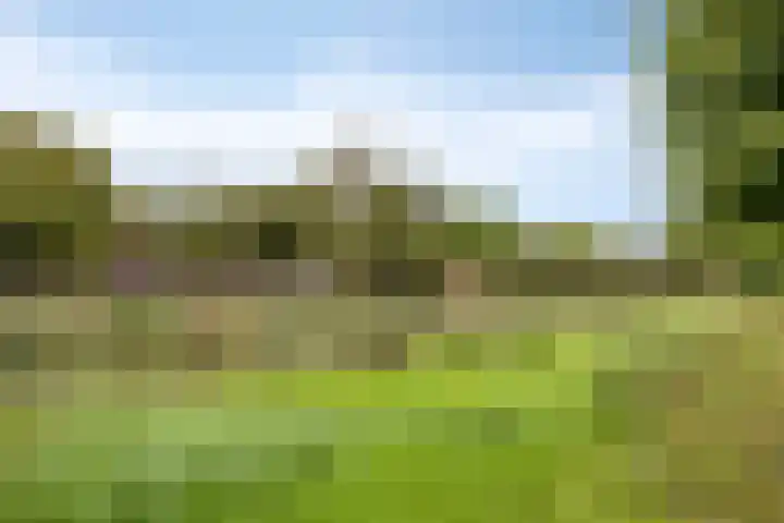 Gregoriussingel 42 's-Hertogenbosch thumbnail 40