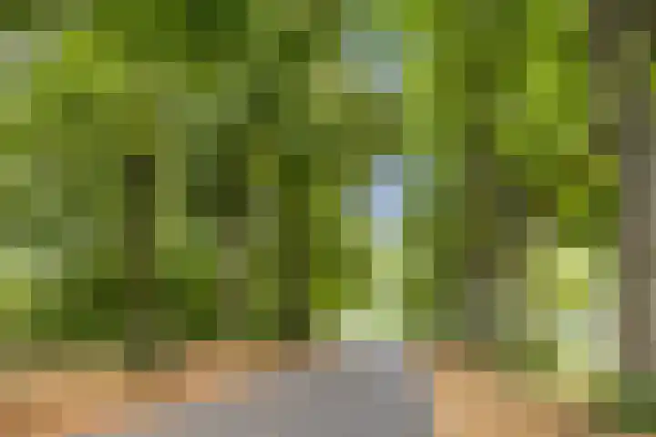 Gregoriussingel 42 's-Hertogenbosch thumbnail 42