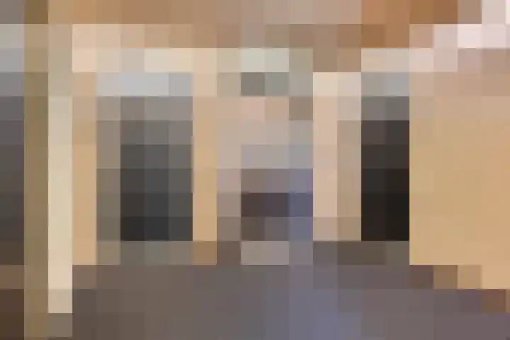 Gregoriussingel 42 's-Hertogenbosch thumbnail 5