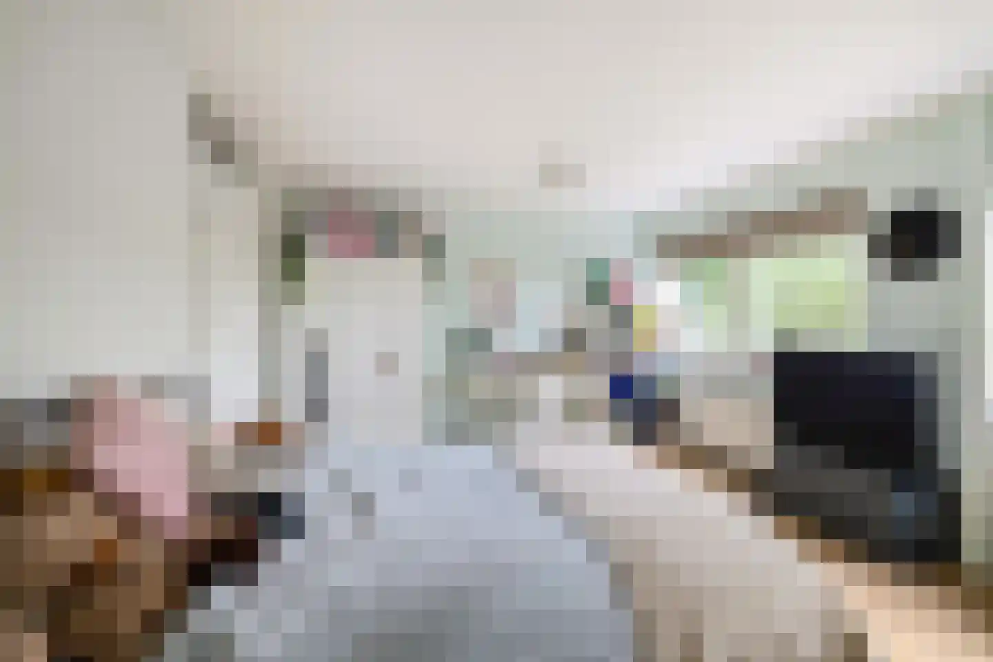 Gregoriusstraat 10 Groningen thumbnail 19