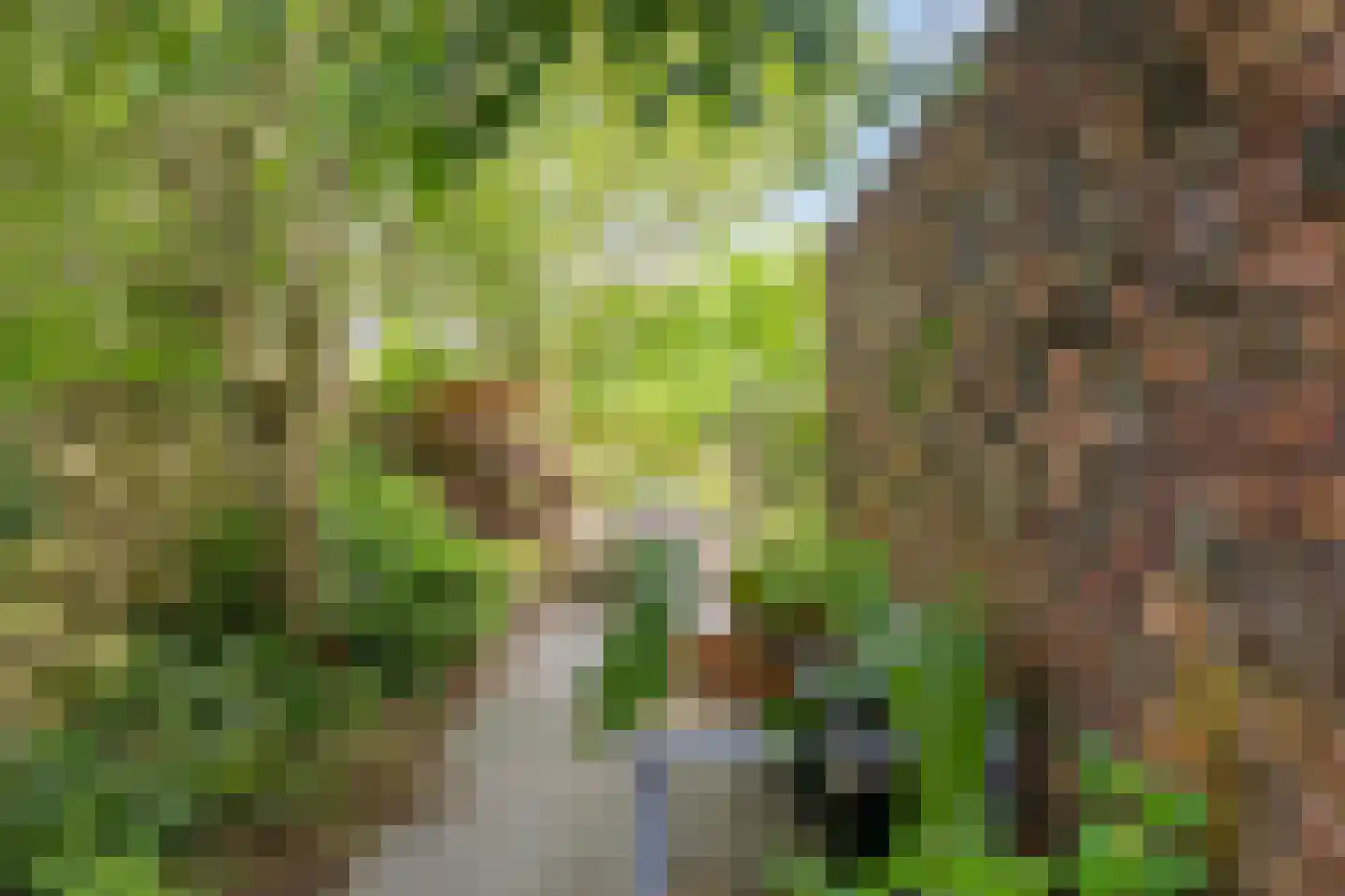 Gregoriusstraat 10 Groningen thumbnail 35