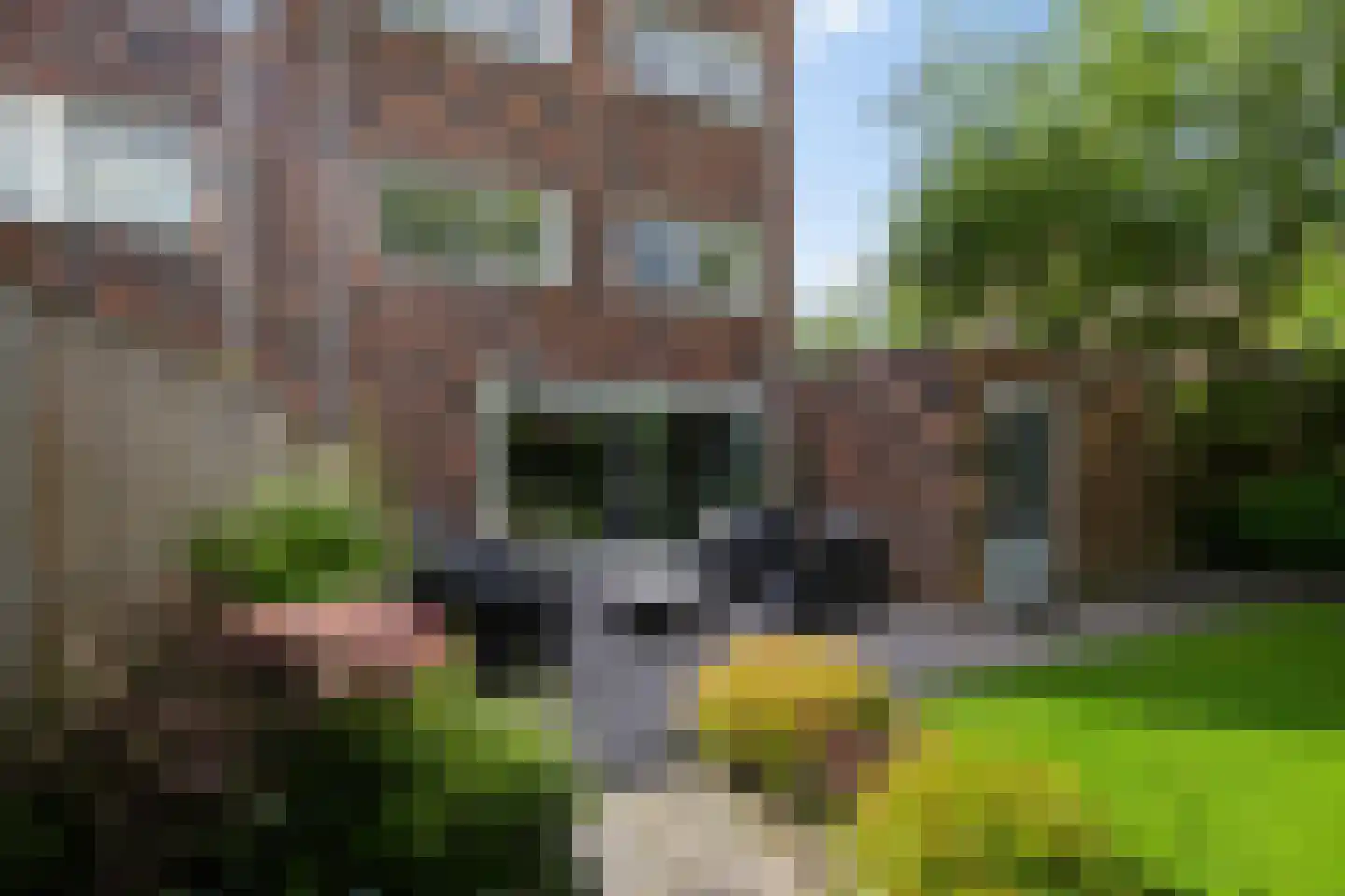 Gregoriusstraat 10 Groningen thumbnail 36